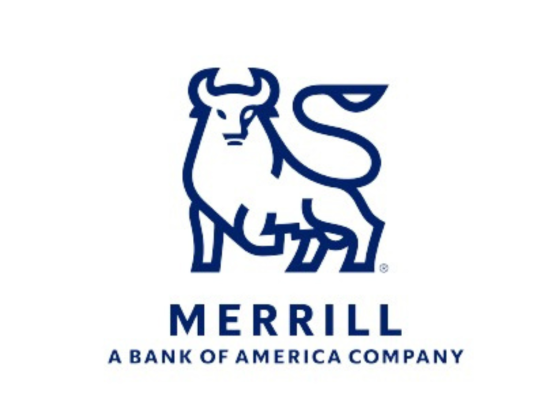 Merrill Lynch - Nikolay Terekhin